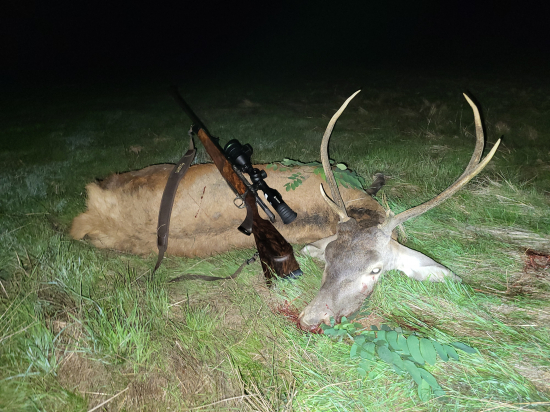 Nepravidelný 6toráčik