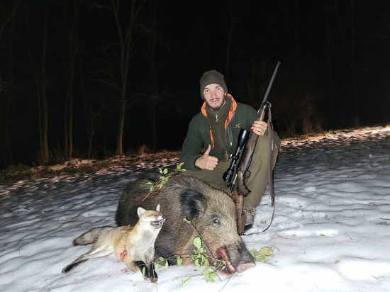 Najprv líška potom diviak