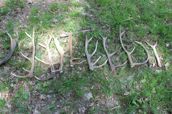 celodenní námaha se vyplatila