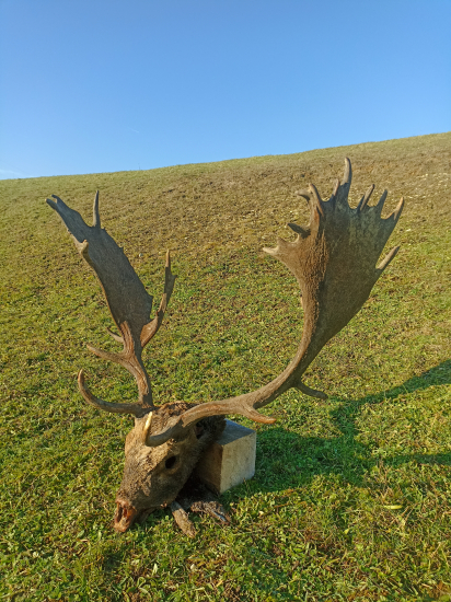 Príroda si niekedy vyžiada obete