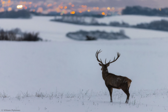 Pohľad do civilizácie