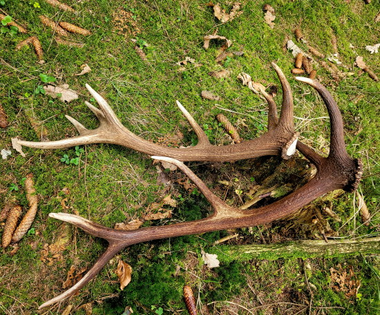 ...voňavý a starší...