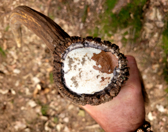 ...pečať ako sa patrí...