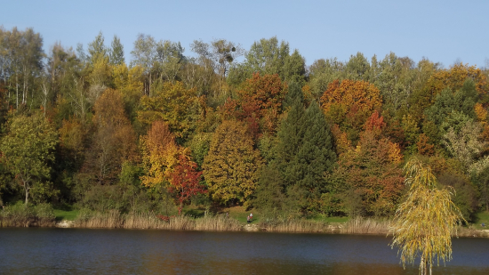 Barvy podzimní přírody