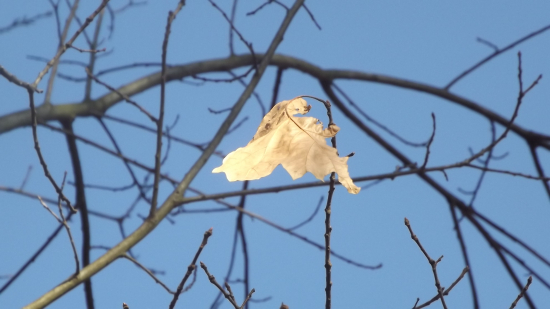 Líbí se mi tady, nechci spadnout