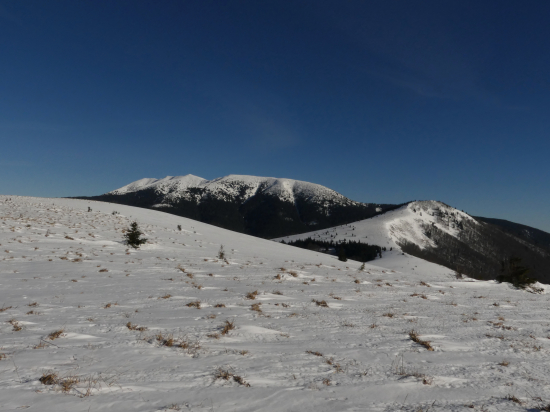 Veľká Chochuľa, Prašivá, Kozí chrbát