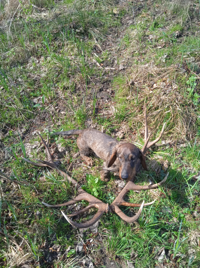 Šťastie sa unavilo.