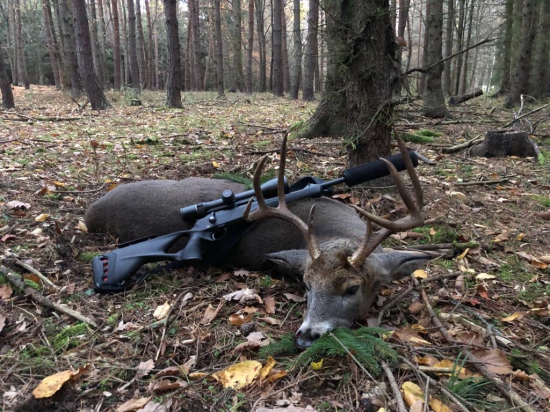 Zlatý jelenec - volná honitba ČR