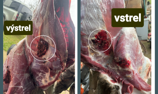 6,5 creedmor Norma bonstrike