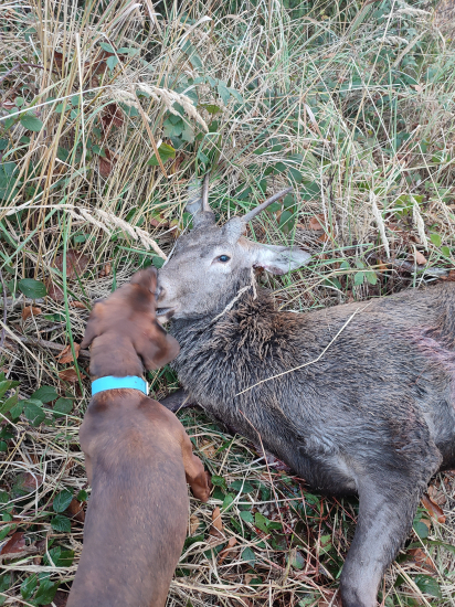 Opäť narodeninový-po roku
