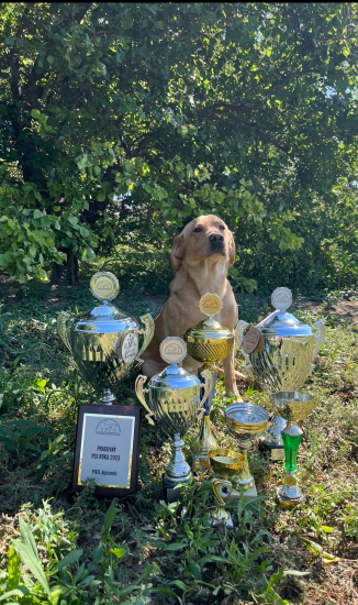 Pixel Aguzannis ,,U”