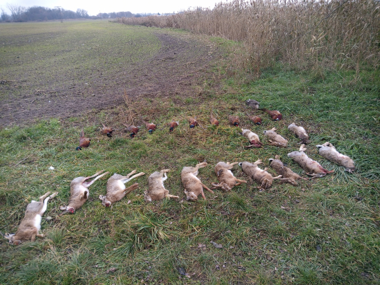 Spoločná poľovačka 30.11.