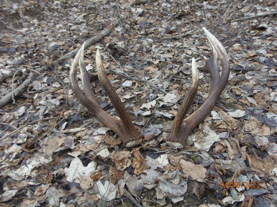 obvod ružíc po 27 cm