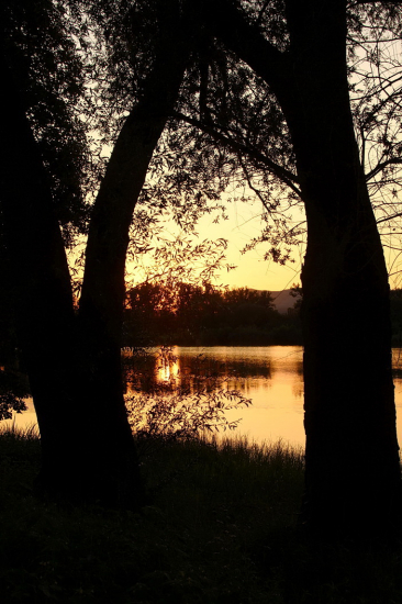 podvečerná pri jazere