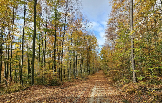 jesennou prírodou na Machnáči