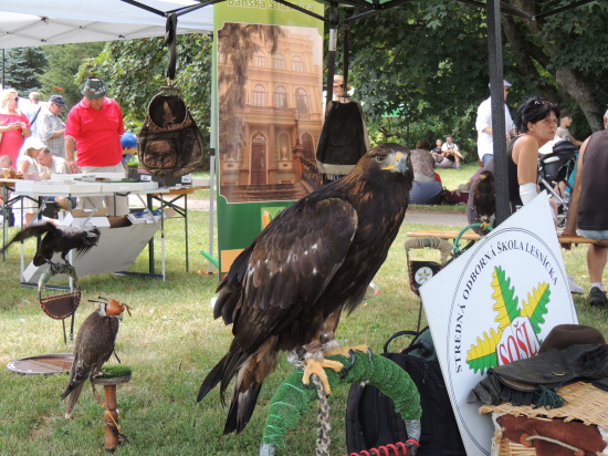 Orol+sokol+krkavec.