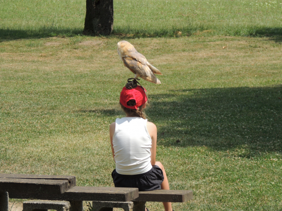 Kedˇmá dievča na hlave sovu...