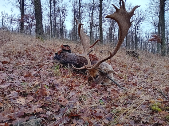 Silvestrovské prekvapenie