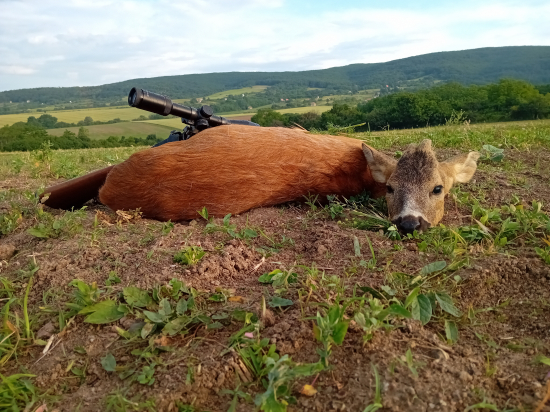 Srnec z dnešného rána ...Lovu Zdar priatelia