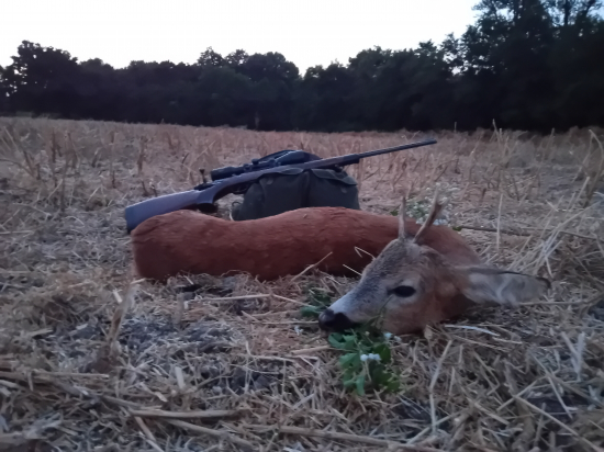 Nechal sa oklamať...