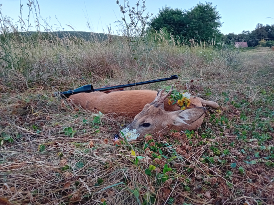 Srnec z Močiarna....Lovu Zdar priatelia...