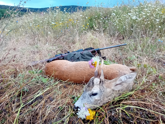 Zo Slaného....Lovu Zdar priatelia...