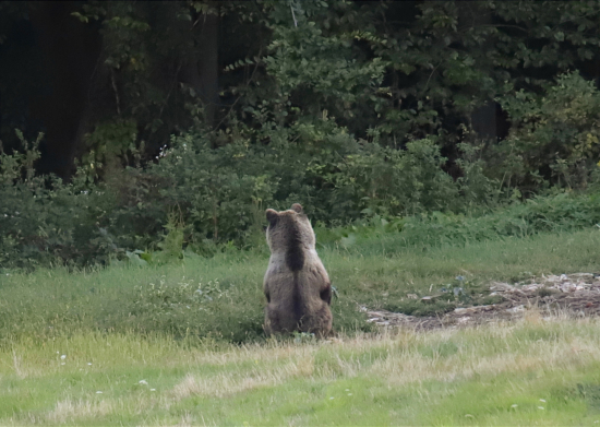 Na večernej prechádzke