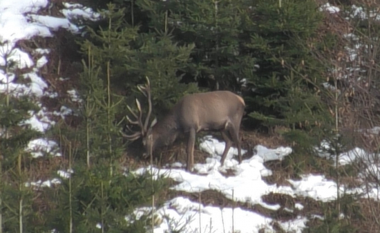 Dnešná vychádzka.
