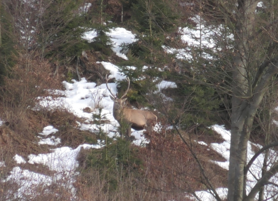 Dnešná vychádzka 2