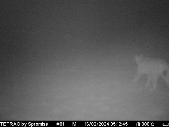 Konečne sa ukázal.