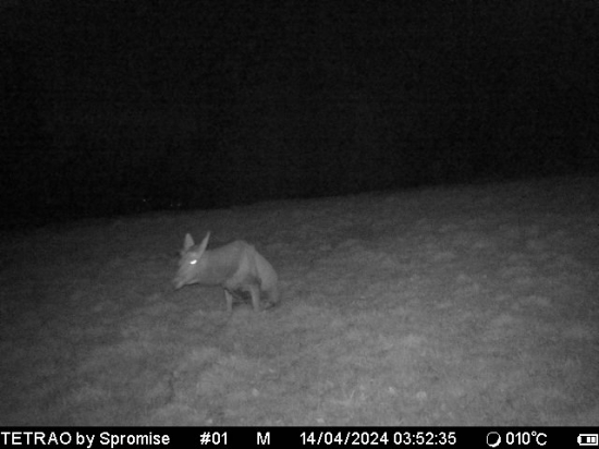 Na chvíľu si sadnem.