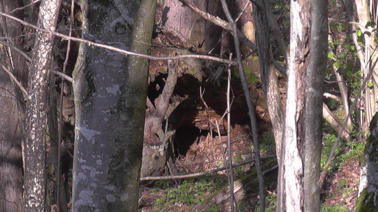 Jednoizbový,momentálne na prenájom.