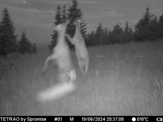 Večerná tancovačka