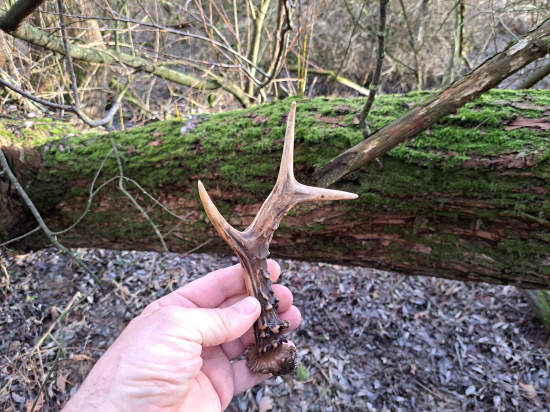 Komu se nelení.....