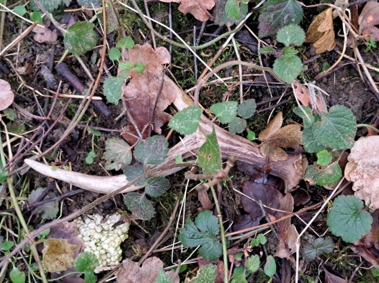 Až srdíčko poskočilo.