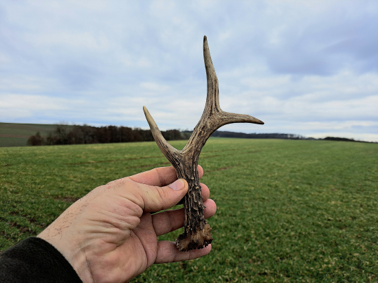 Skoro medaile 154gr.