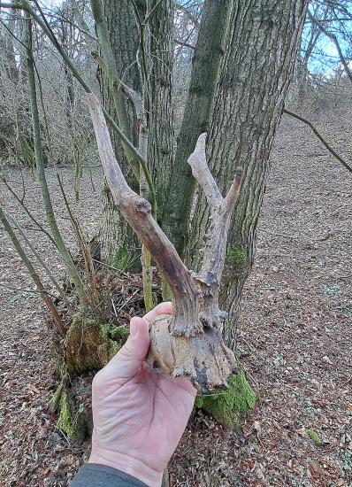 Starý bojovník dobojoval.