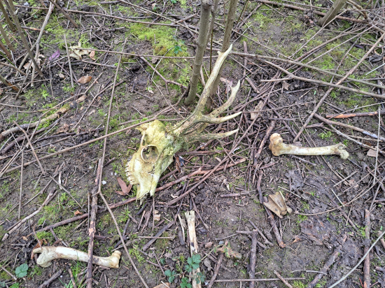 Nevím už kolikátý.