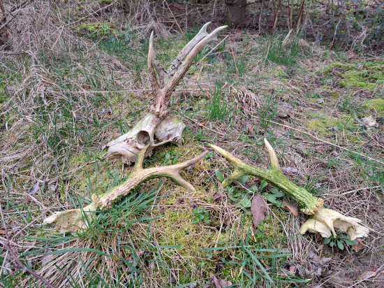 Pár kroků od cesty.