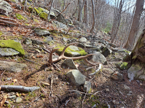 To bylo radosti ;-)))