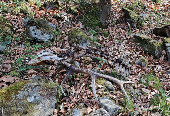 Smutek a radost v jednom.