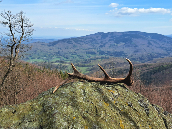 Loučení s rodným krajem.