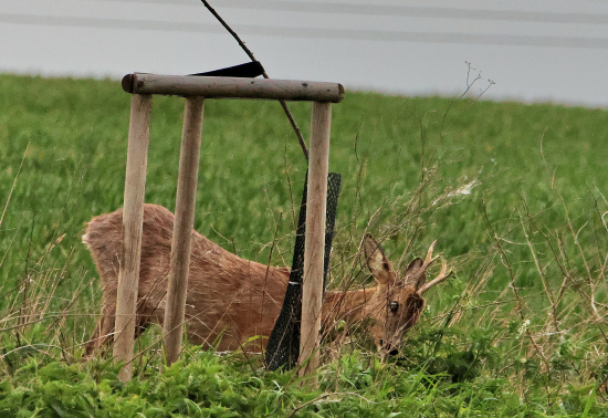 Já ti ukážu ;-)))