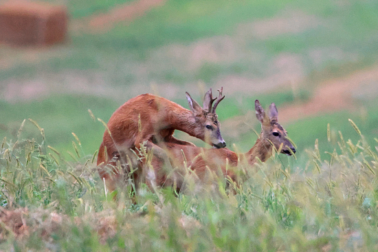 I mladí si užijí.