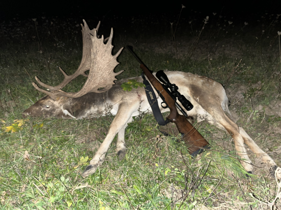 Večerné prekvapenie