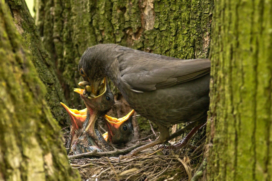 A hladné a hladné!!!