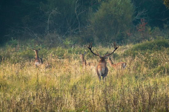 Stále sa ich držal