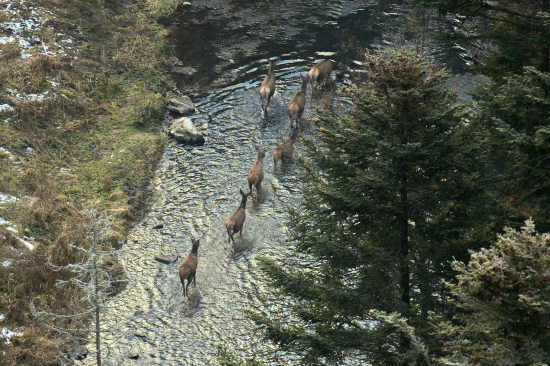 Vysoká v Prielome Hornádu
