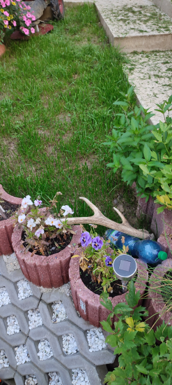 Poležal , maskovaný