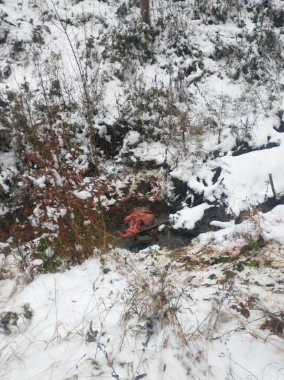 Čo na toto povedať